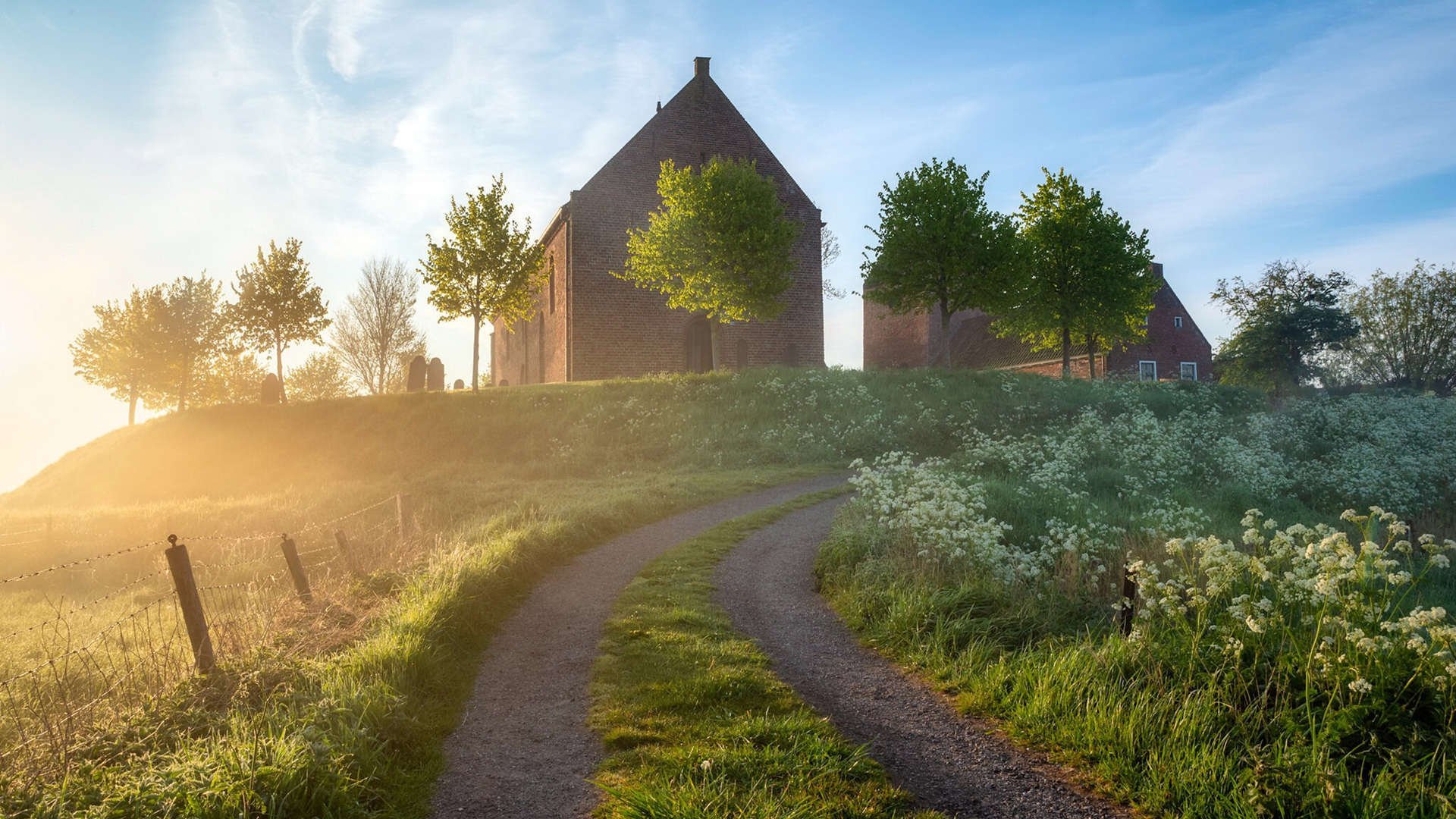 当日本队轻取德国，集体羽翼与个人火焰的体育诗篇