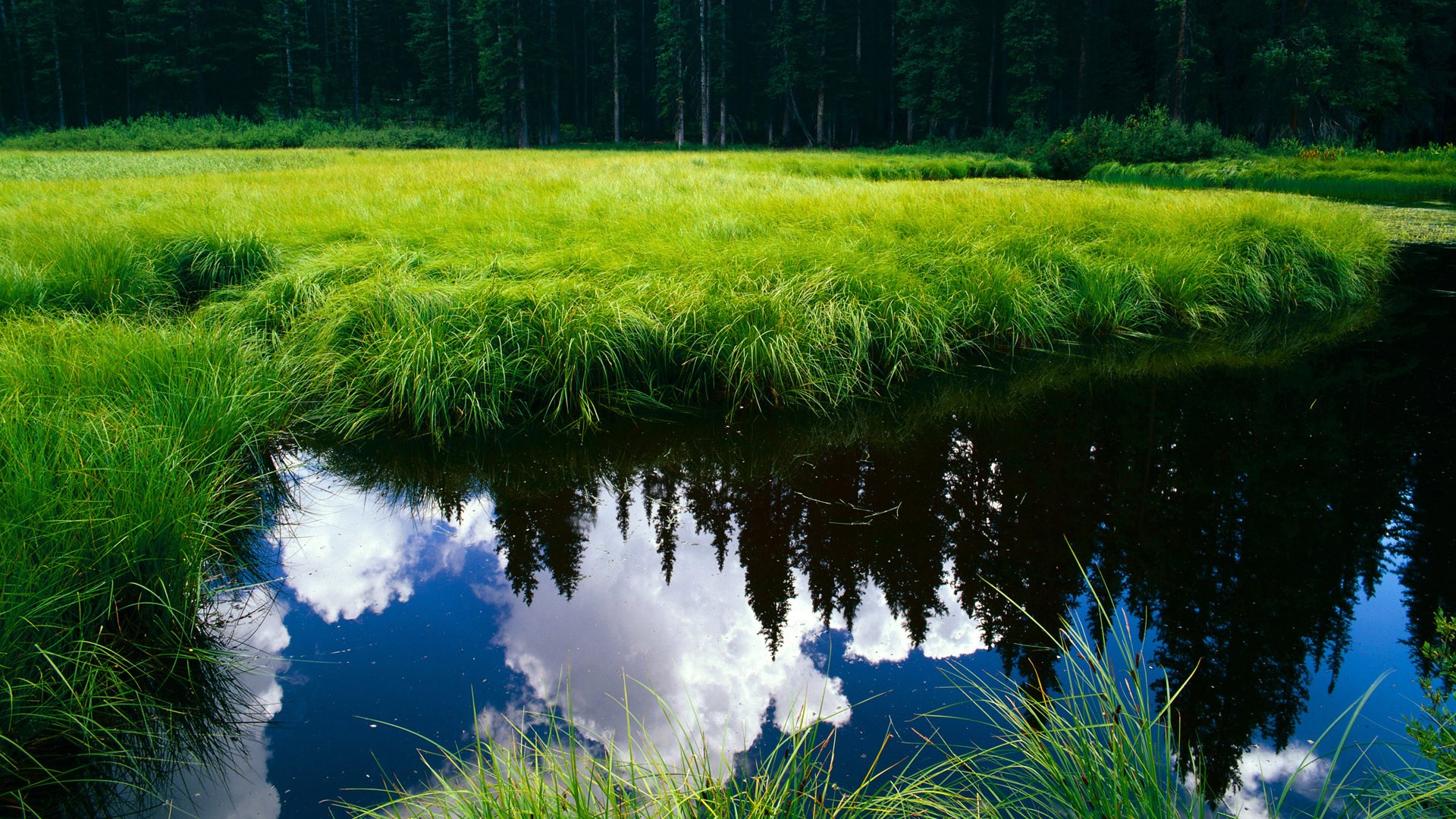 红与白的对抗,楚阿梅尼如何用苏格兰的灵魂,终结了摩纳哥的数学足球
