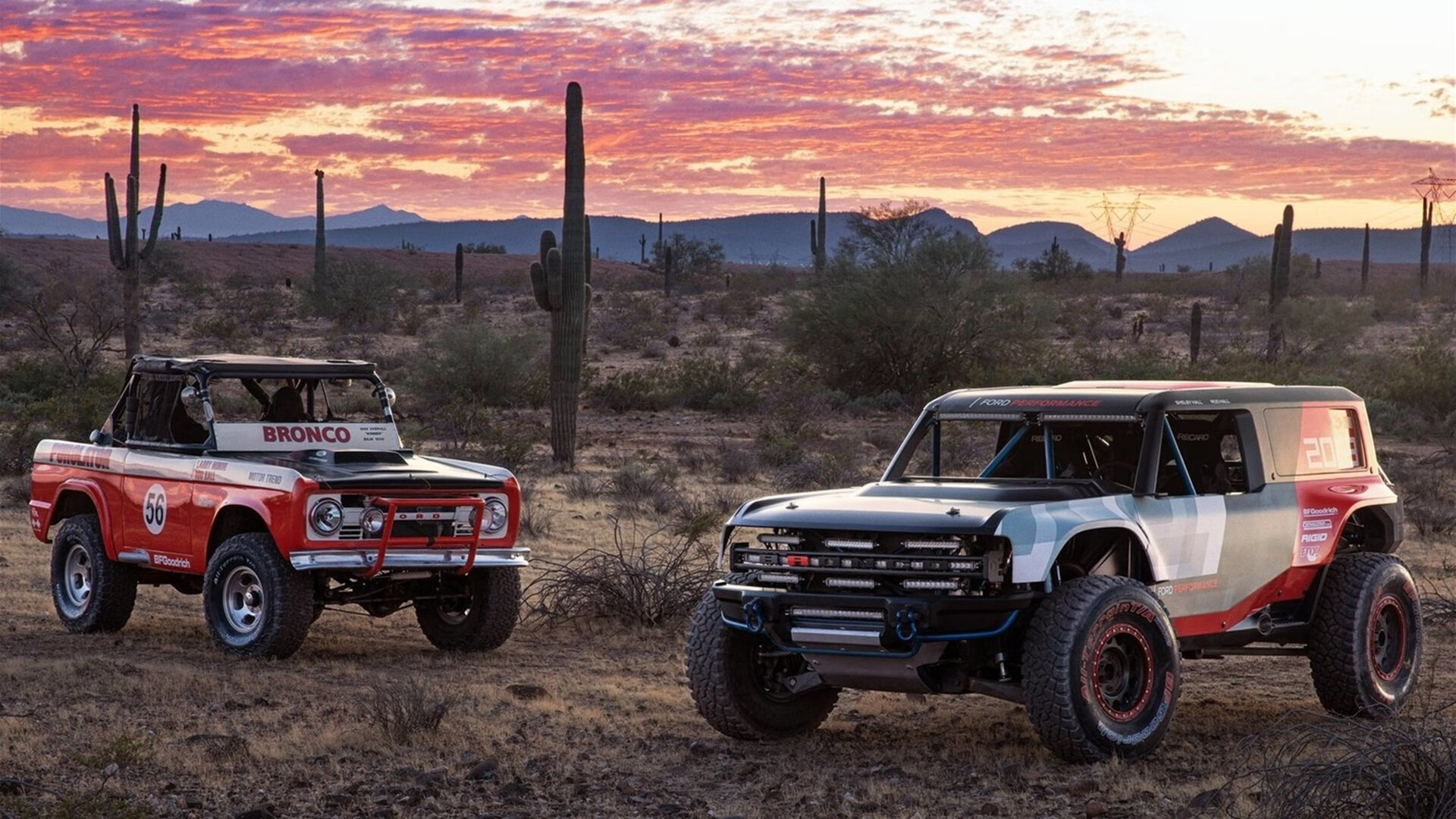 跨界星辉，阿尔及利亚与西班牙友谊赛，奥斯梅恩意外主宰全场