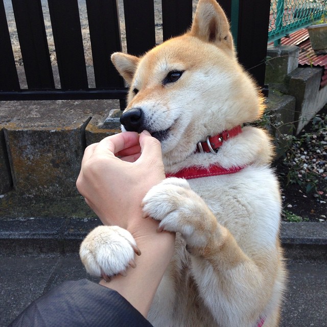 银色闪电撕裂申城雨夜，雷恩绝杀中国首冠诞生记