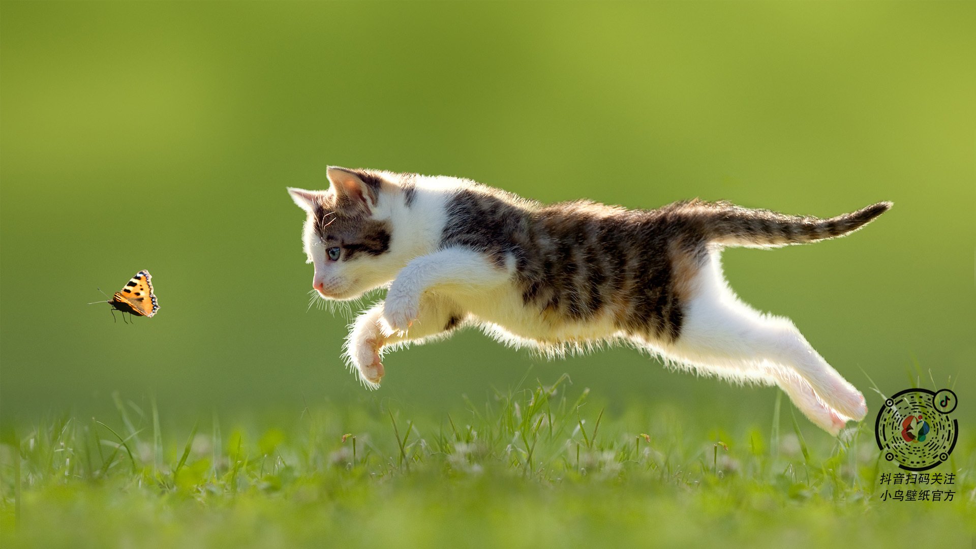 美学与野性的碰撞，内马尔彩虹过人的残影与皇马的铁蹄轰鸣