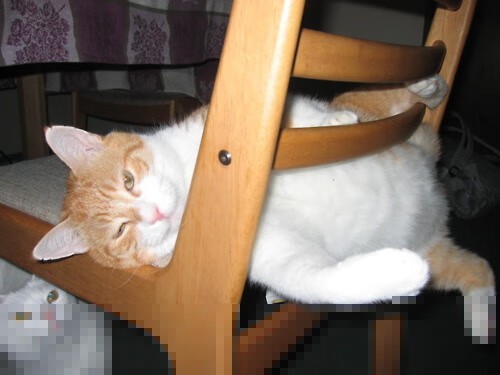 以下是根据这一思路为您构思的文章