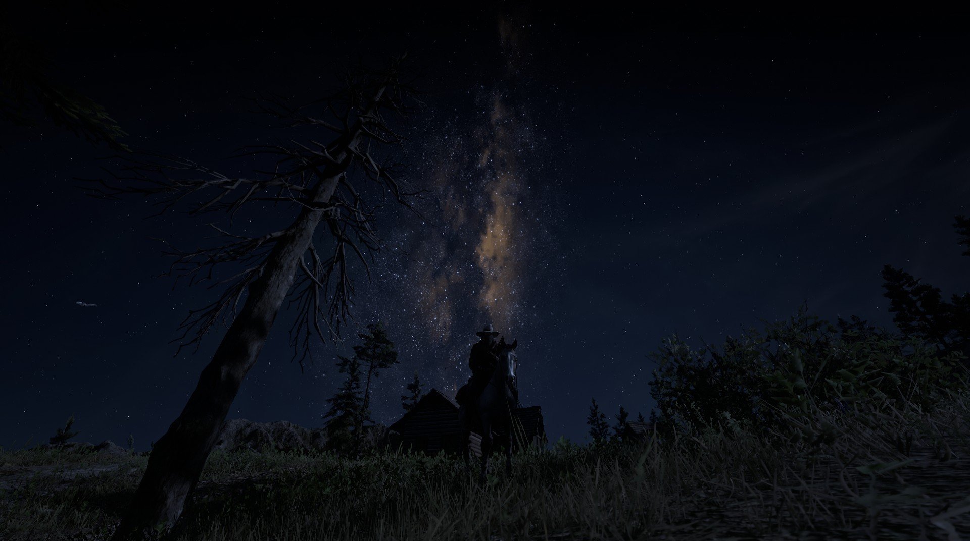 信仰的赛场，从辽宁到萨克拉门托的争冠密码