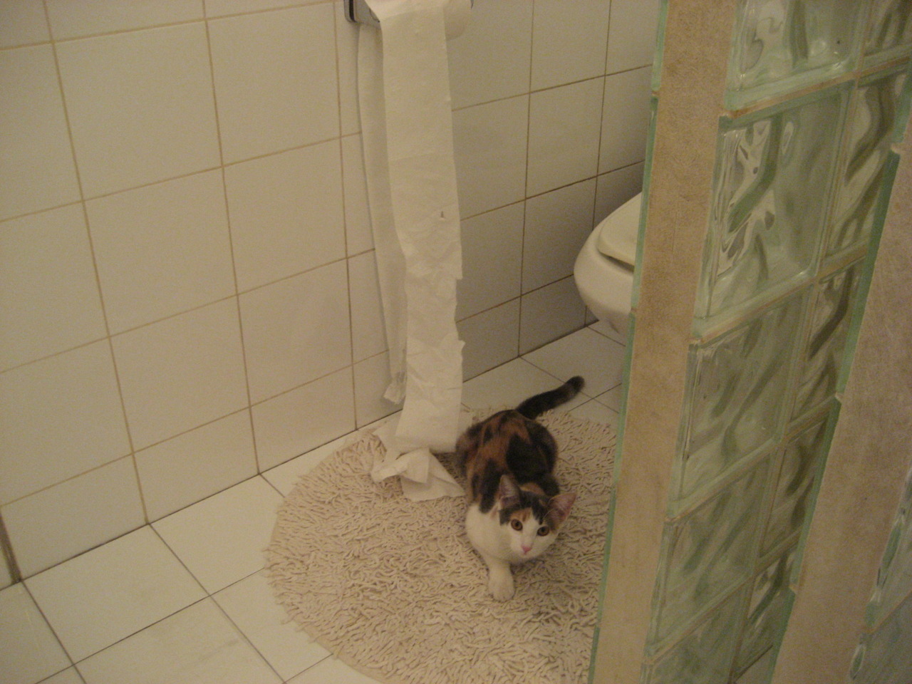 一个人的世界杯，克瓦拉茨赫利亚生涯之夜拯救格鲁吉亚