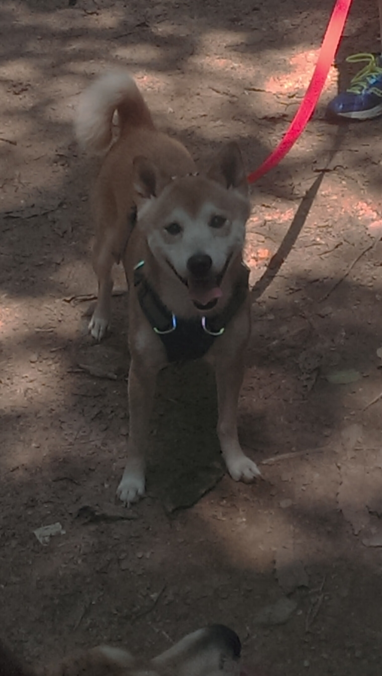 冰与火的对决，克莱·汤普森的三分雨浇灭灰熊，热火逆境加冕