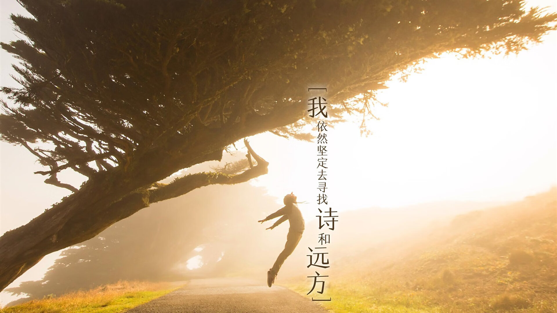 帷幄之间，弗拉霍维奇的节奏艺术与世界排名的暗夜博弈