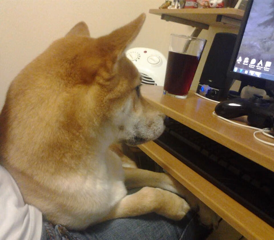 北欧冰刀撕裂西甲铁幕，当戈麦斯在抢七之夜接管马德里