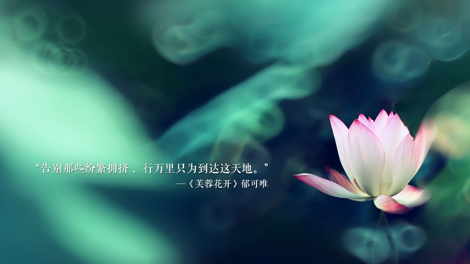 独步天下,2026世界杯D组焦点战,德布劳内导演传奇,葡萄牙绝杀荷兰书写唯一剧本